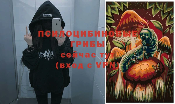 круглые Алзамай