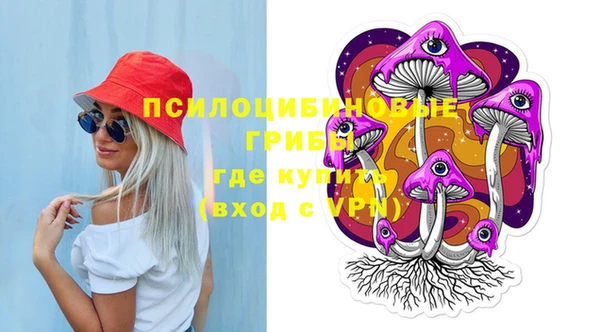 стаф Алексеевка