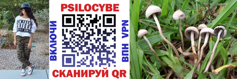 где купить наркотик  Новоуральск  Псилоцибиновые грибы Magic Shrooms 